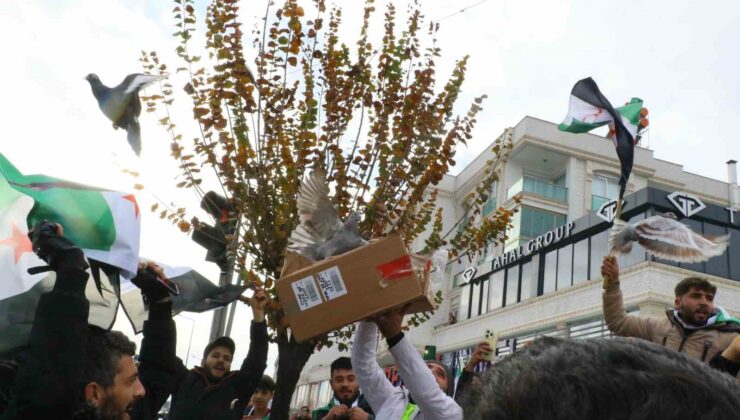 Antalya’daki Suriyeliler rejimin yıkılmasını gökyüzüne beyaz güvercin bırakarak kutladı