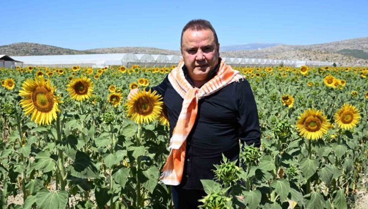 Başkan Böcek: “2025 yılında da çiftçinin yanında olmayı sürdüreceğiz”