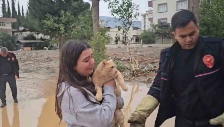 Dalda mahsur kalan kedisi kurtarılınca sevinçten gözyaşı döktü
