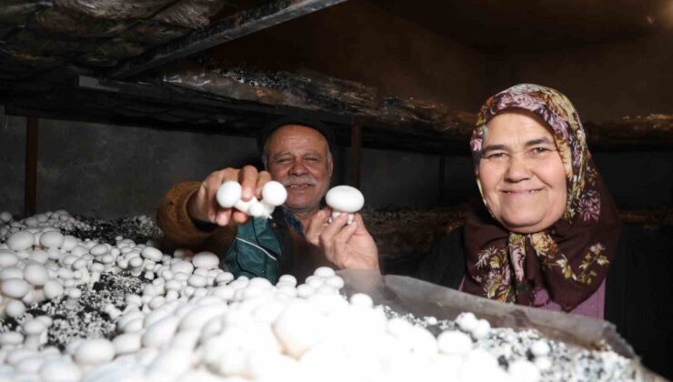 Emekli olunca hobisi ekmek teknesi oldu