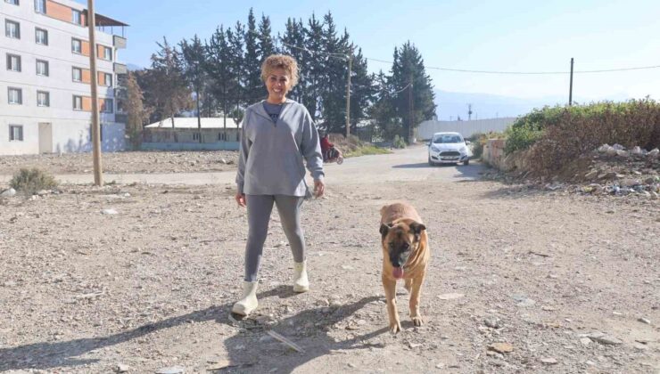 Enkazda sahibinin cansız bedenini bulmuştu, aileye hatıra kalan Max’a gözü gibi bakıyorlar