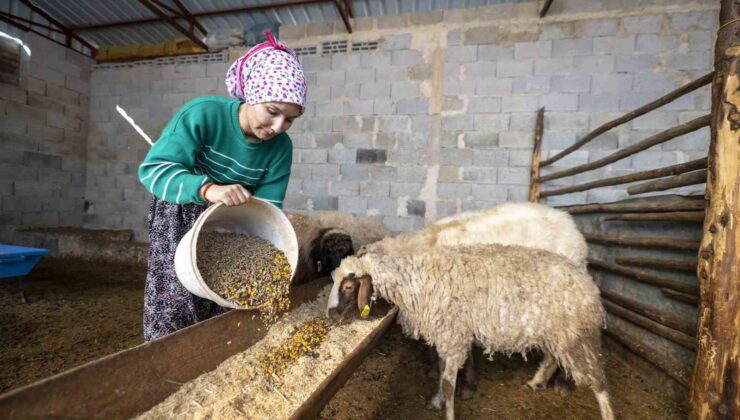 ’Hadi Gel Köyümüze Geri Dönelim’ projesi bir genci deha üretime kazandırdı