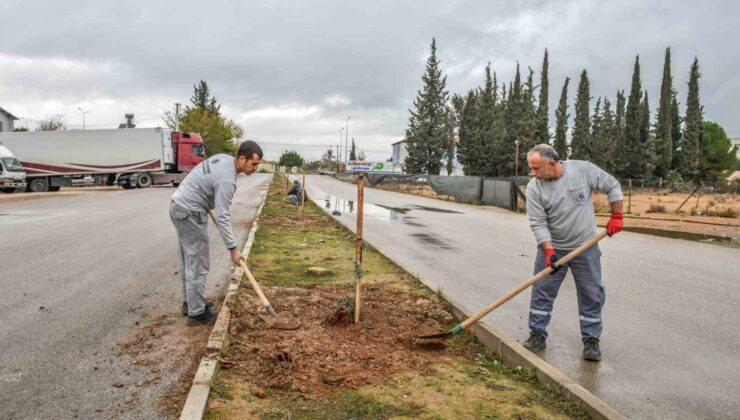 Kepez tarihi mirasıyla yeşilleniyor