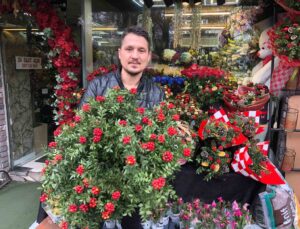 Kokina çiçeği Isparta’da yoğun ilgi görüyor