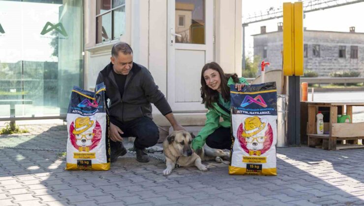Mersin’de ’Yaşamı Sahiplen Destek Büyükşehirden’ kampanyasında 407 hayvan sahiplendirildi