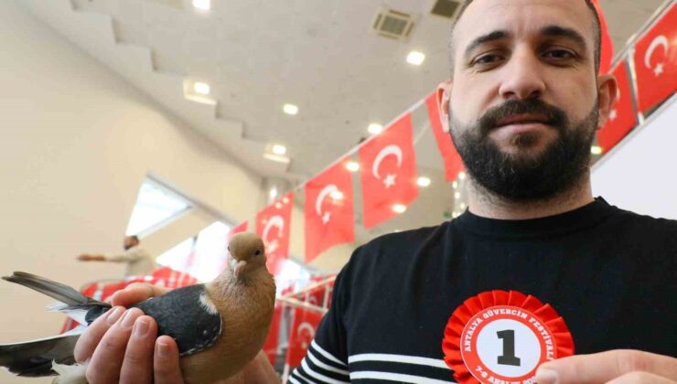 Milyonluk güvercinler Antalya’daki festivalde  buluştu