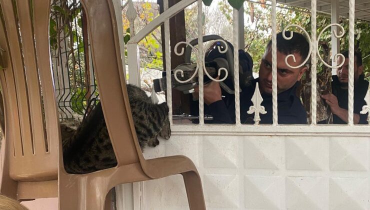 Patisi korkuluğa sıkışan kediyi itfaiye kurtardı