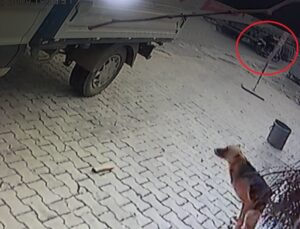 Tırla çarpışan motosikletin 84 yaşındaki sürücüsü hayatını kaybetti