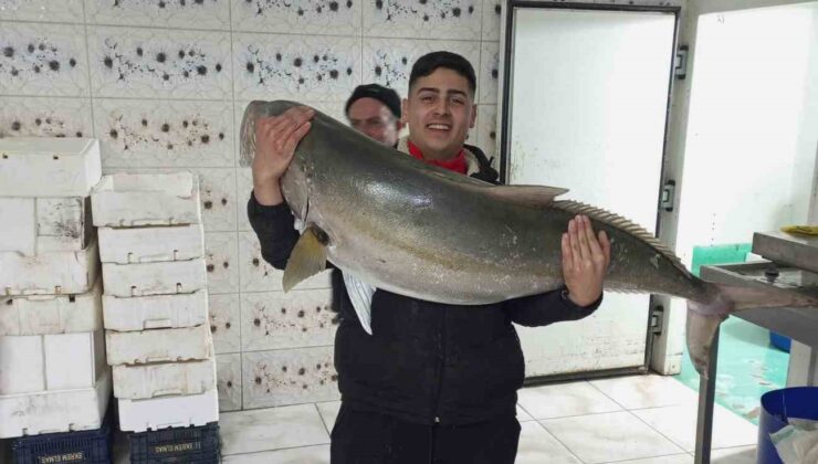 50 kiloluk Akya balığını 2 kişi, 2 saatlik mücadeleyle yakalamayı başardı