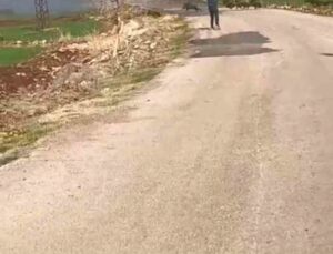 Acemi avcı domuz sürüsünde hedefi tutturamayınca arkadaşı dalga geçti