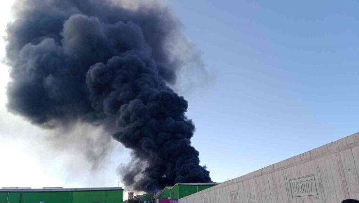 Adana’da geri dönüşüm fabrikasında yangın