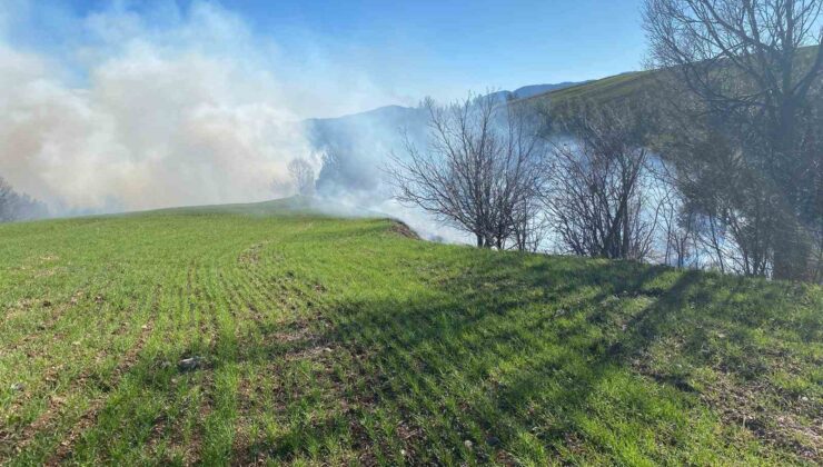 Adana’da orman yangını
