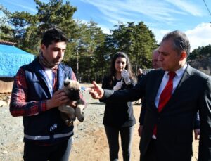 Amanos Dağları’na yaban ve sokak hayvanları için yem bırakıldı