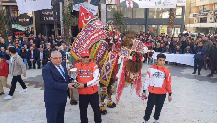 Antalya’da en süslü deve seçildi