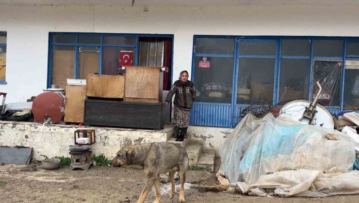 Çaresiz kadın: “Belediyeye, kaymakama ve muhtarlığa gittim, huzurevine gitmemi teklif ettiler”