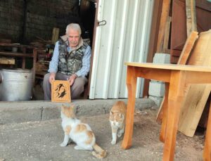 Depremden sonra sokakta kalan kedilere sahip çıktı