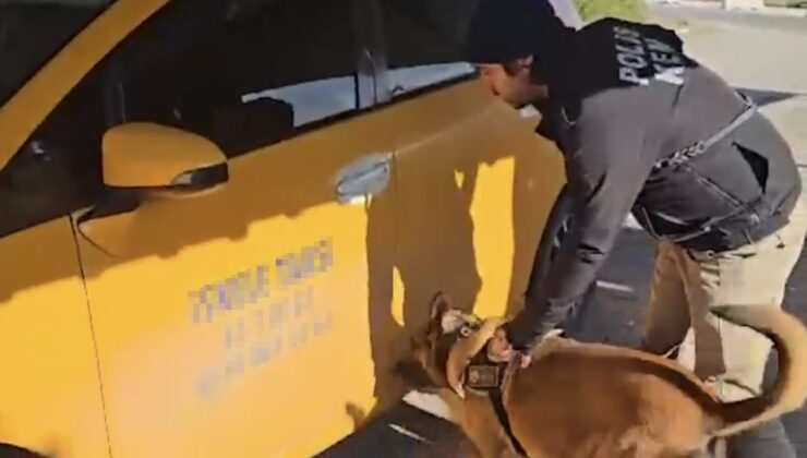 Durdurulan ticari taksiden 5 kilogram 50 gram skunk ele geçirildi