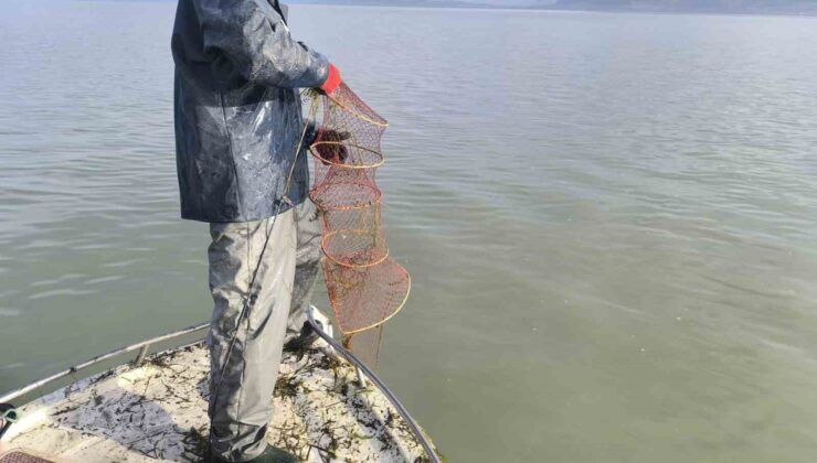 Eğirdir Gölü’nde kaçak avcılık denetiminde 200 kerevit pinteri ele geçirildi