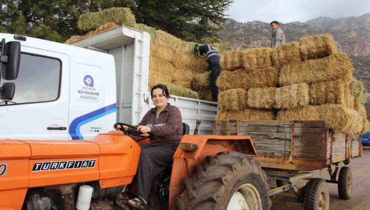 Elmalı Yuva’da saman desteği afetzedelerin yüzünü güldürdü