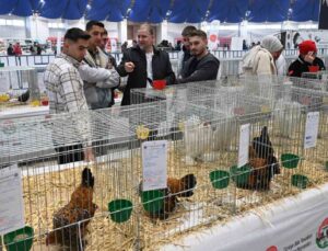 Farklı ırklardan bin 750 kanatlı hayvan ve süs tavuğu Isparta’da