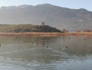 Göller Yöresi’ndeki su kuşu sayımları ekosistem değişimlerini aydınlatıyor