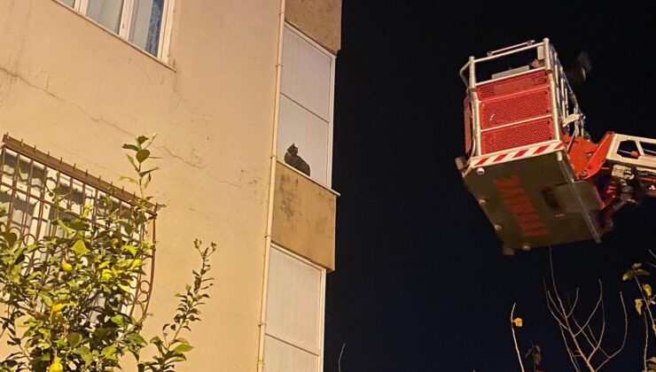 İskenderun’da balkonda mahsur kalan kediyi itfaiye kurtardı