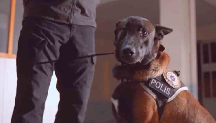Isparta’nın narkotik kahramanı Milon, üçüncü kez ’ayın köpeği’ seçildi