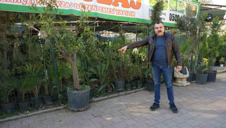 Peyzajcıdan dinlene dinlene bitkileri çaldı