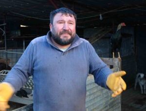 Tavuğunu tilki kapan Zavadanak Bekir’den tilkiye gülümseten sitem