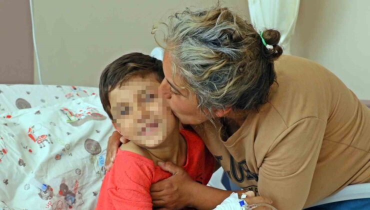 Tüm Türkiye’yi hüzünlendiren Efe: “Para almadılar”