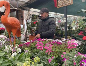 Ağabeyinden hatıra kalan çiçekçi dükkânını botanik kafeye çevirdi