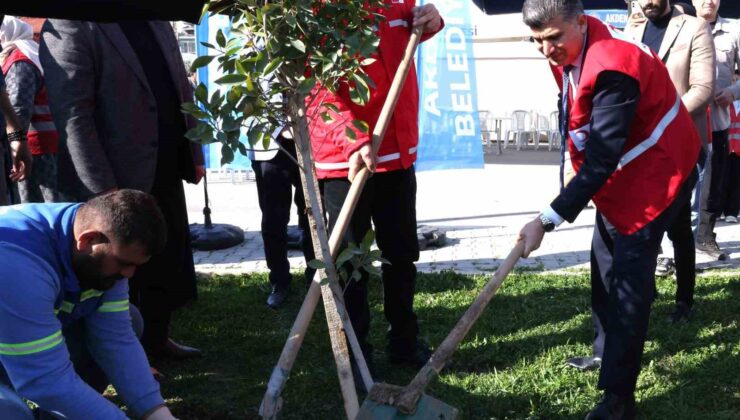 Akdeniz Belediyesi, depremde hayatını kaybedenler anısına fidan dikti
