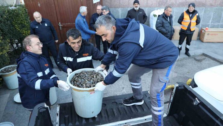Antalya Otobüs Terminali’nde 300 kilogram midyeye el konuldu