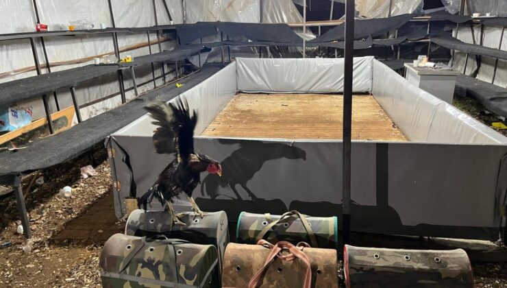 Antalya’da horoz dövüştüren 14 kişiye ceza yağdı