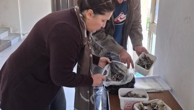 Balon balığıyla mücadele kapsamında balıkçılara bilgilendirme yapıldı