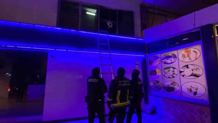 Bankada mahsur kalan kedi ekipleri alarma geçirdi