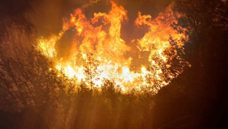 Burdur’da çıkan sazlık yangını kontrol altına alındı