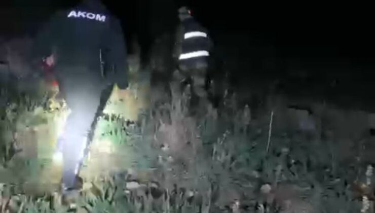 Hayvanlarını otlatmak için çıktı, ölü olarak bulundu
