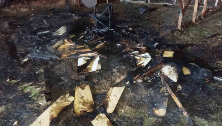 Isparta’da güvercin kulübeleri yandı, 60 güvercin telef oldu