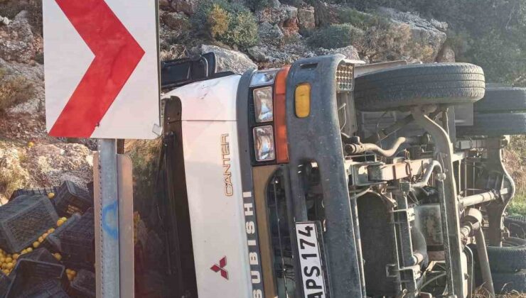 Limon yüklü kamyonet devrildi: 1 yaralı