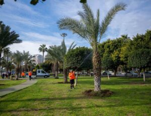 Mersin’in simgesi palmiyeler zararlılara karşı korunuyor