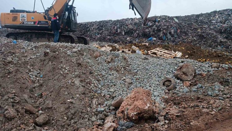 Pestisit kimyasal maddesi tespit edilen 55 ton limon imha edildi