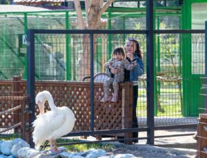 Tarsus Doğa Parkı, yarı yıl tatilinde çocukları ağırlıyor