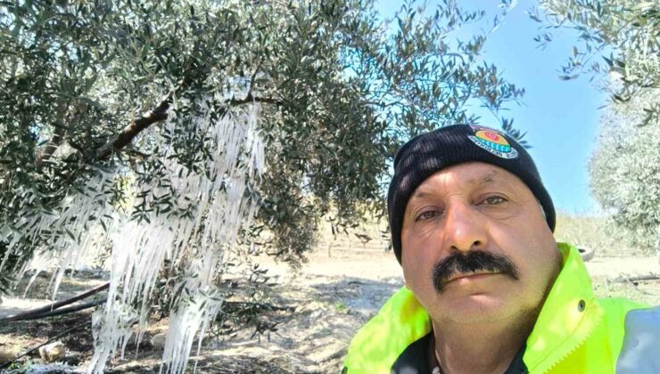 Tarsus’ta ağaçlarda buz sarkıtları oluştu