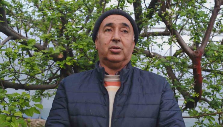 Türkiye’de en erken erik hasadının yapıldığı Mersin, seralarıyla ihracat talebine yetişemiyor