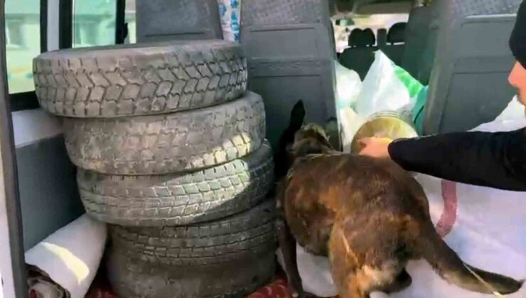 10 kilo uyuşturucu yakalattı, “Şeker sanıyordum” savunması yaptı