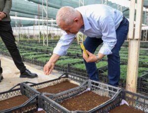 Alanya Belediyesi bitki üretiminde yüzde 50 tasarruf sağlandı