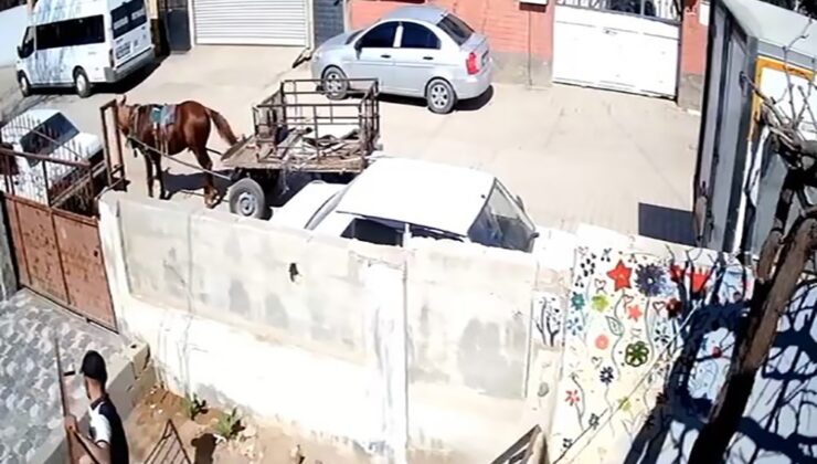At arabasıyla geldi, demir korkuluğu alarak kayıplara karıştı