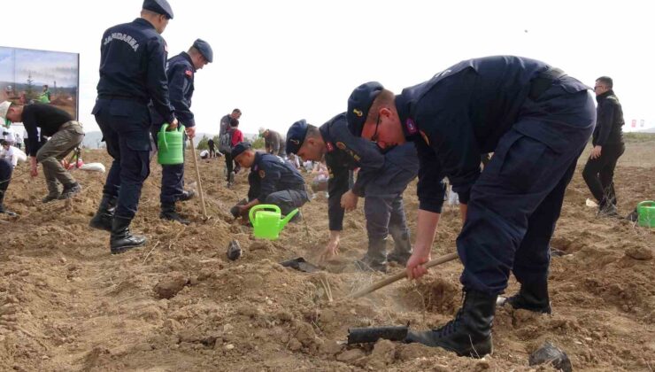 Burdur’da ’doğanın lezzeti ormanda saklı’ diyerek bin 600 fidan toprakla buluşturuldu