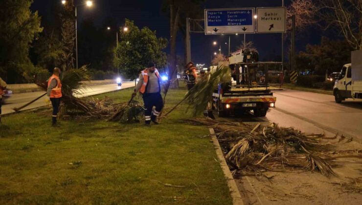 Büyükşehir’den gece budama çalışması